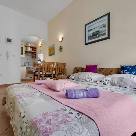 Apartment Andrijasevic-city Center