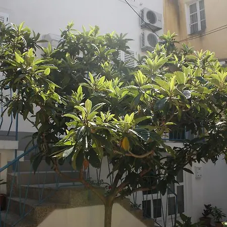 Apartment Andrijasevic-city Center
